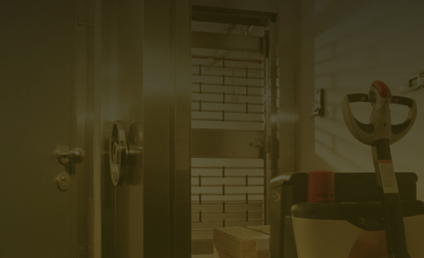 Secure storage video